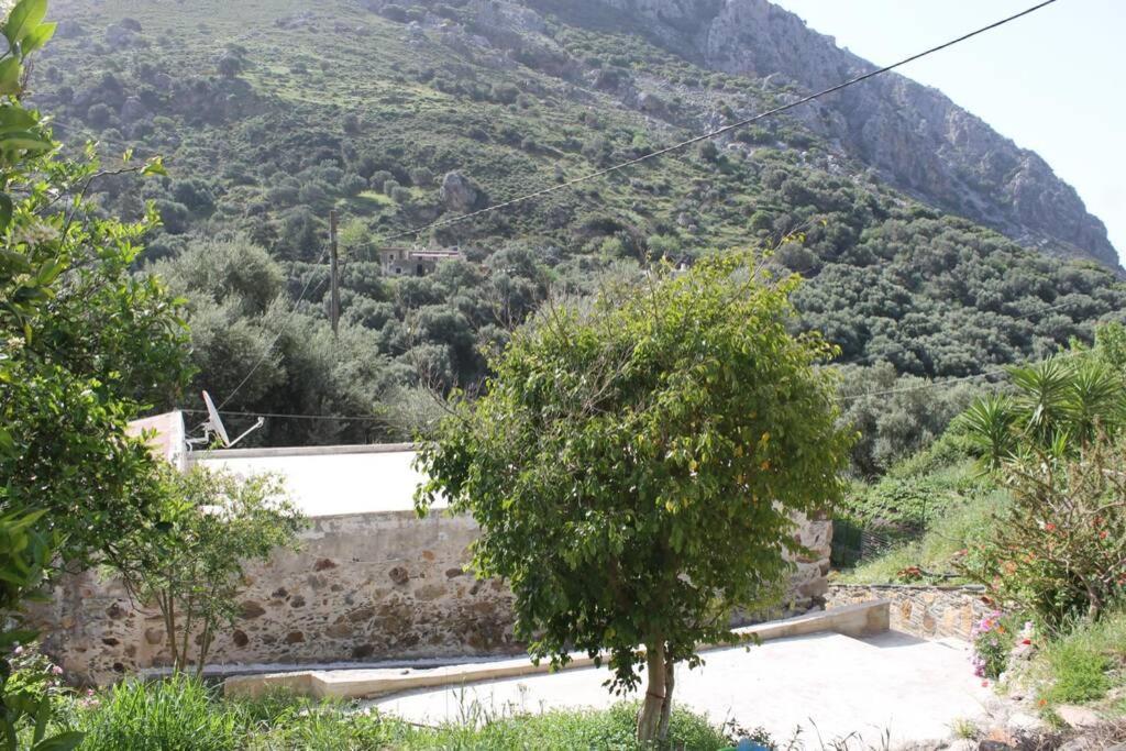 Olga's Traditional Stone House, Palaiochora *