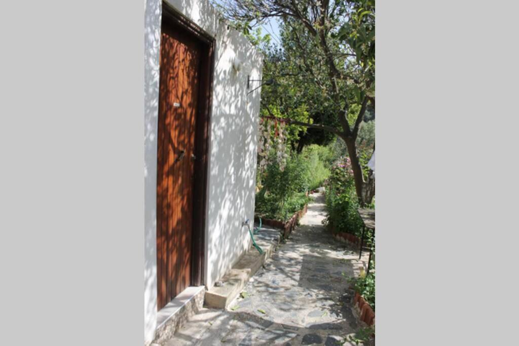 Olga's Traditional Stone House, Palaiochora Tatil Evi