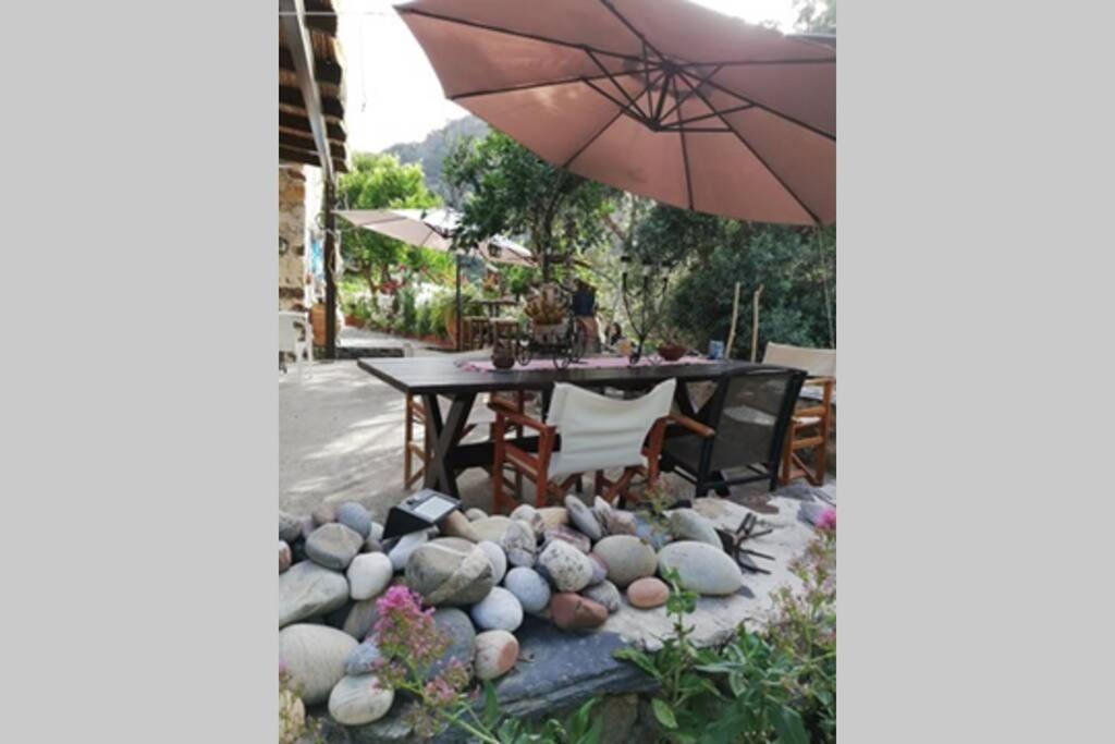 Olga's Traditional Stone House, Palaiochora Tatil Evi *