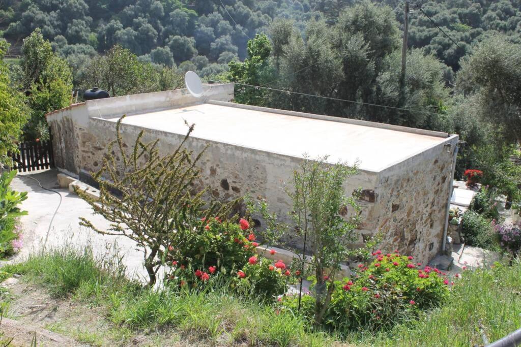 Olga's Traditional Stone House, Palaiochora Tatil Evi
