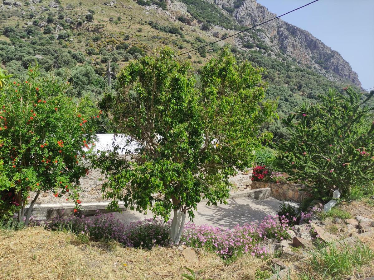 Olga's Traditional Stone House, Palaiochora Tatil Evi Kondokinigi
